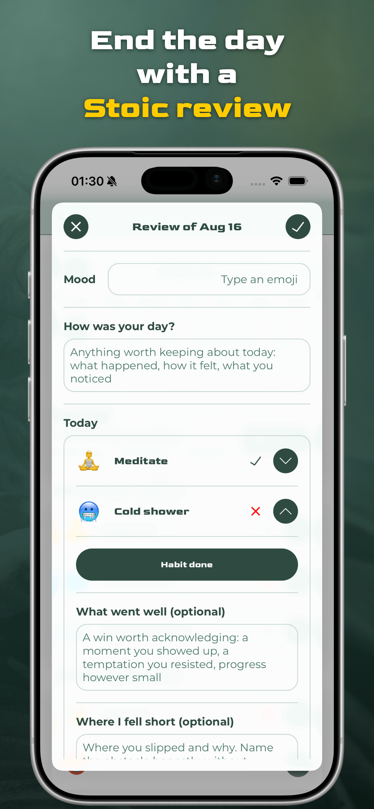 Virtus Habit daily review: mood, journal and how the day went
